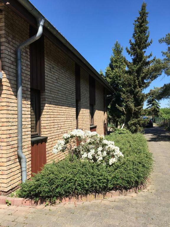 Ferienhaus Busch Leipzig Eksteriør bilde